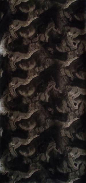 Product Image - GHOST | Buff - Grey Smoke